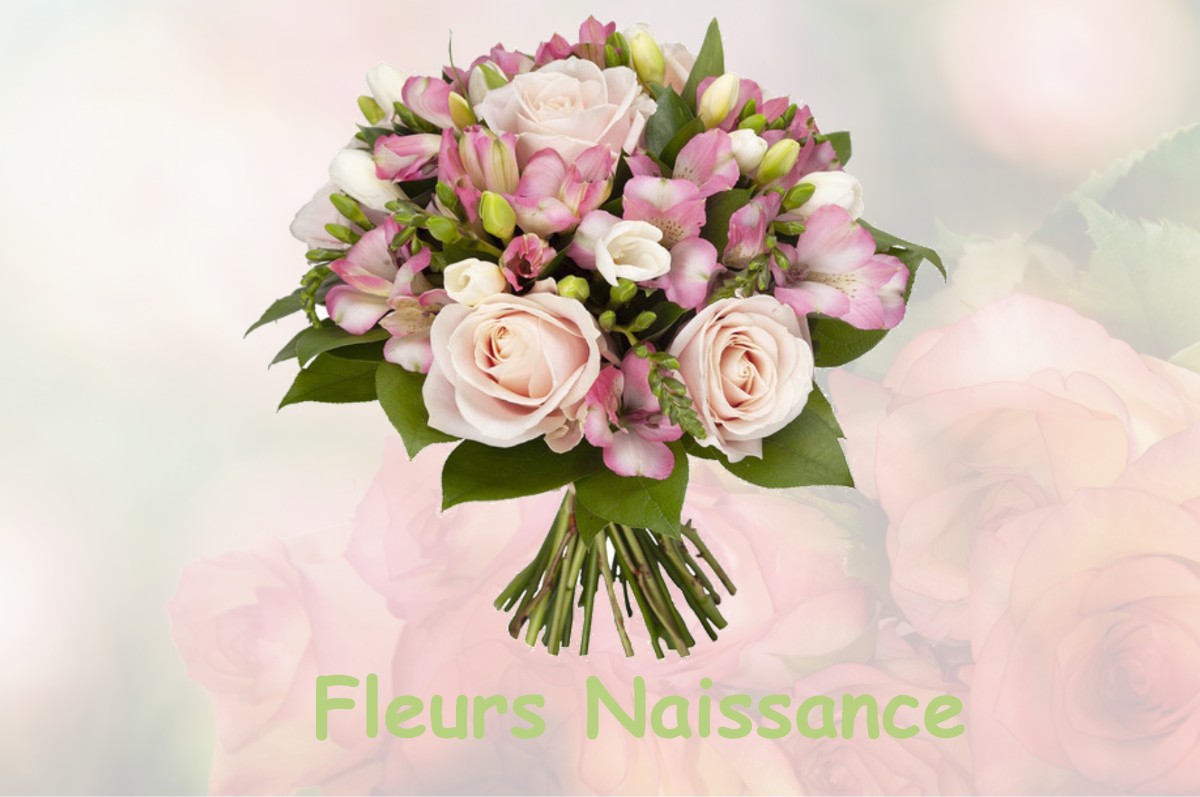 fleurs naissance BEAUFIN