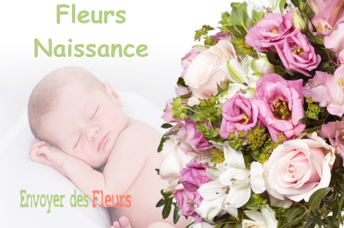 lIVRAISON FLEURS NAISSANCE à BEAUFIN